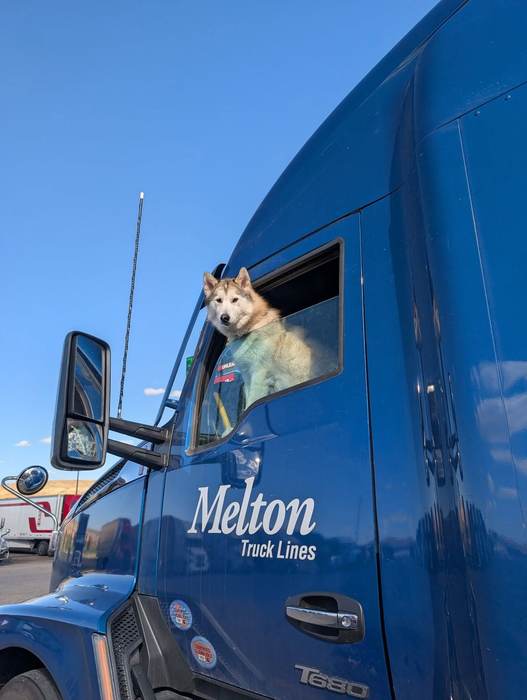 A graduate's dog riding along in the cab of a Melton Truck Lines rig